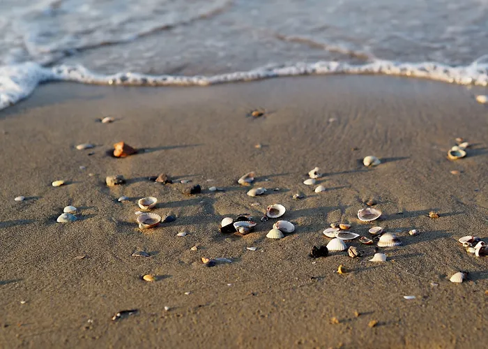 Beautiful Close To Апартаменти